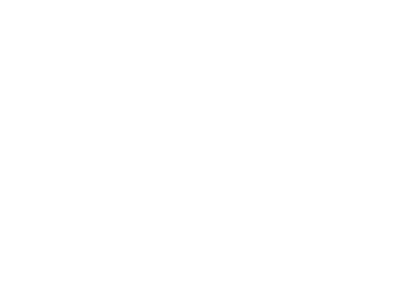 Seamless Bridge logo